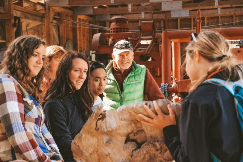 Ketchikan: Alaska Rainforest Sanctuary and Totem Park Walk - Who Will Love This Tour?