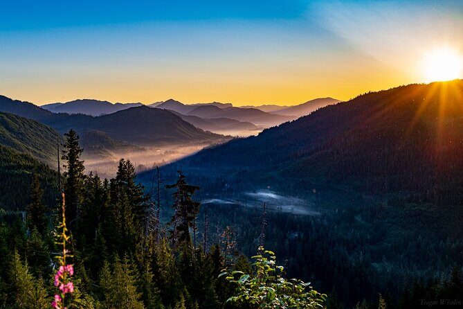 Ketchikan Backcountry Driving Tour Through the Tongass - An In-Depth Look at the Ketchikan Backcountry Driving Tour