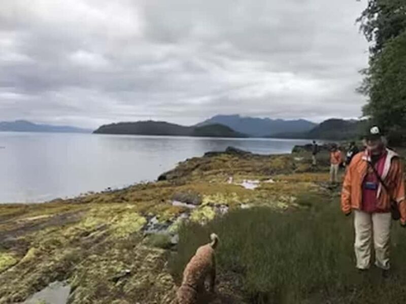 Ketchikan: E-Bike and Hike Tour - The Scenic Edge of the Island