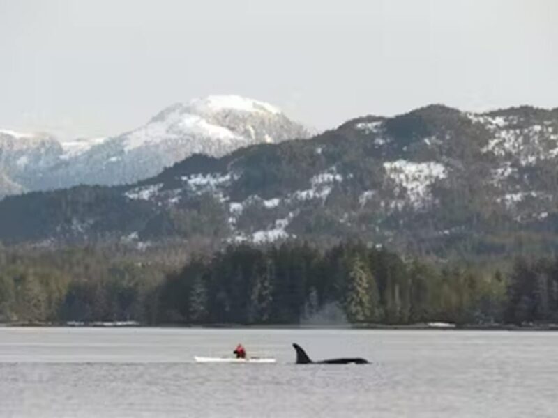 Ketchikan: Kayak Eco-Tour - The Logistics: Transportation, Equipment, and Comfort