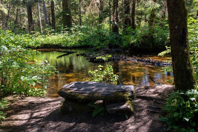Ketchikan Magical Old-Growth Creek Trek Guided Tour - Who Will Love This Tour?