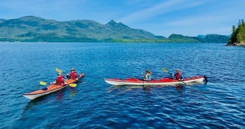 Ketchikan: Orca Cove Fast Boat and Sea Kayak Tour - Ketchikan: Orca Cove Fast Boat and Sea Kayak Tour – A Detailed Look