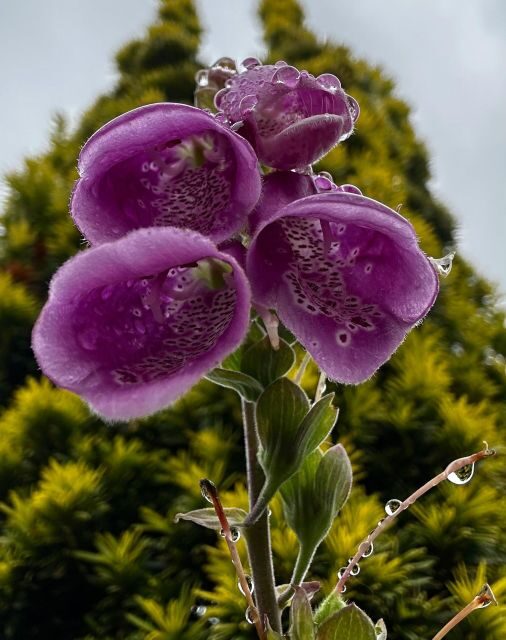 Ketchikan Photo Safari - FAQ: Your Quick Guide to the Ketchikan Photo Safari