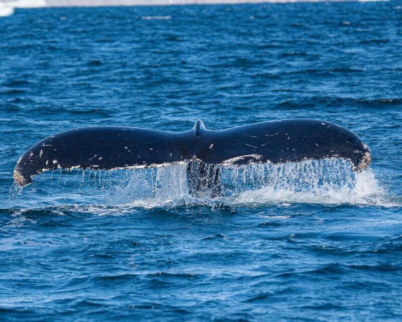 Ketchikan: Private Customizable Boat Tour with Captain Jack - Exploring Ketchikan on a Private Boat