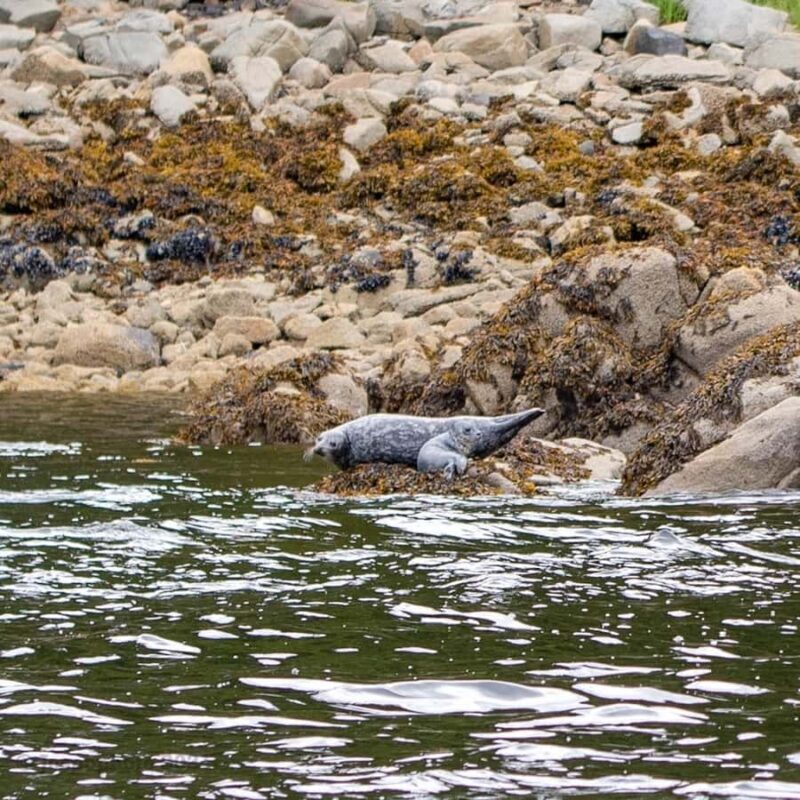 Ketchikan: Private Customizable Boat Tour with Captain Jack - Final Thoughts