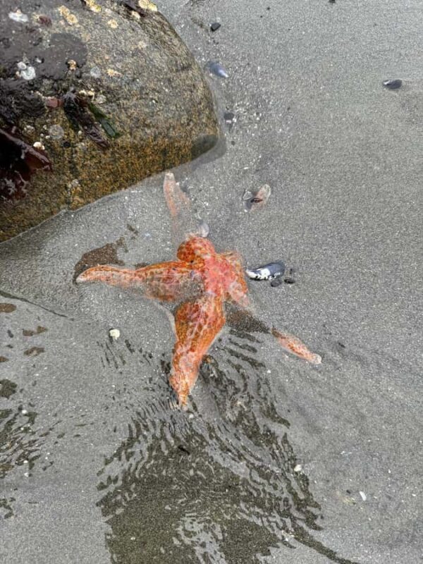 Ketchikan: Private Tours suitable for all ages! - Who Will Love This Tour?