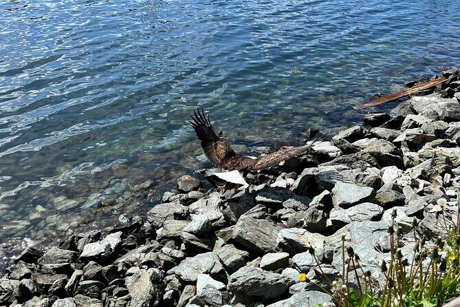 Ketchikan Rainforest Adventure Nature & Wildlife Tour - Exploring the Ketchikan Rainforest Adventure