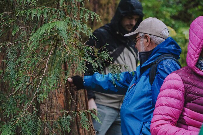 Ketchikan Rainforest Sanctuary and Totem Park - FAQ