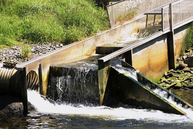 Ketchikan Rainforest Sanctuary and Totem Park - Final Thoughts