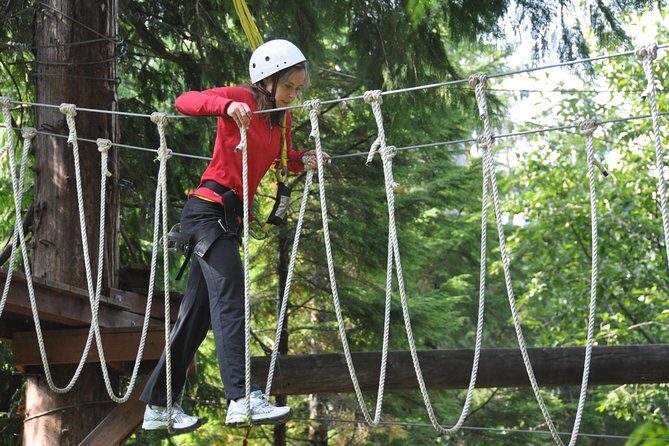 Ketchikan Shore Excursion: Rainforest Canopy Ropes and Zipline Adventure Park - Final Thoughts
