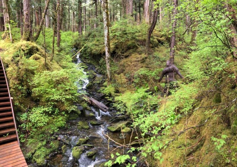 Ketchikan: Tongass Forest Alaska Bigfoot ATV Ride and Hike - Key Points