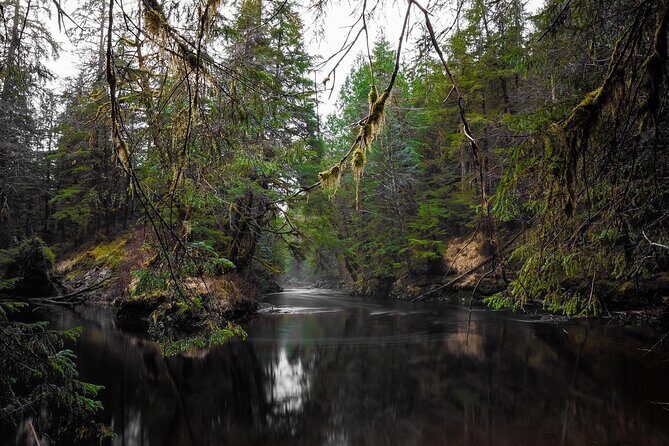 Ketchikan Ultimate Whale Watching, Wildlife, & Wilderness Dining - Frequently Asked Questions