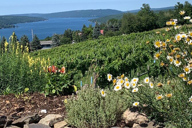 Keuka Lake Wine Tour - Customizable - Authentic Reviews: What Past Travelers Say