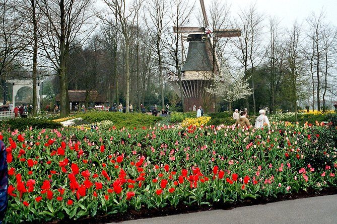 Keukenhof and Flower Fields Private Tour from Amsterdam - Who is This Tour Best For?