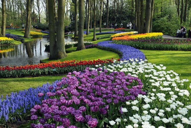 Keukenhof Entry Ticket plus Round-Trip Shuttle Bus from Amsterdam - Key Points