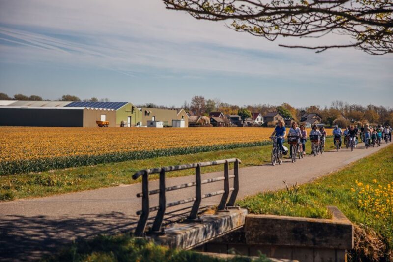 Keukenhof: Flower Fields Small-Group Cultural Bike Tour - A Ride Through Holland’s Flower Fields: An Authentic Experience