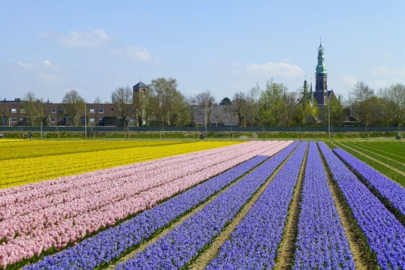 Keukenhof: Flower Fields Small-Group Cultural Bike Tour - Who Should Consider This Tour?