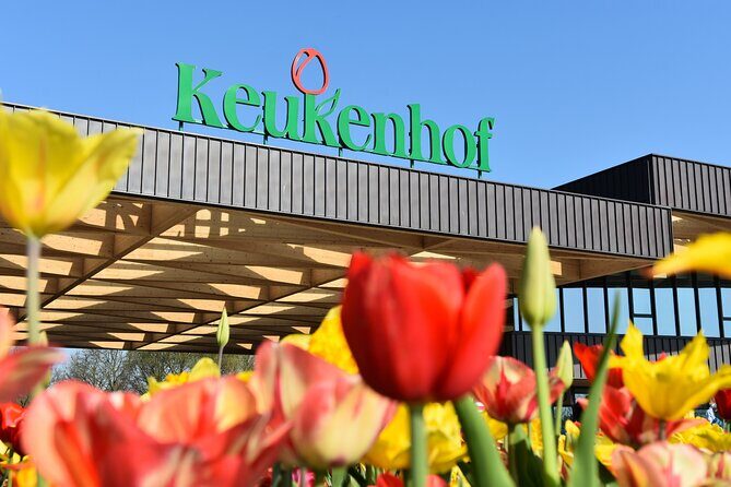 Keukenhof, Flower Fields, Volendam and Zaanse Schans Small-Group Tour - A Closer Look at the Itinerary and Experience