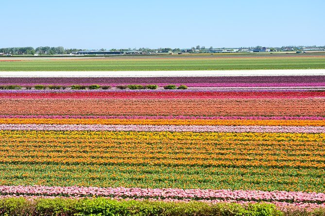 Keukenhof, Flower Fields, Volendam and Zaanse Schans Small-Group Tour - Who Will Love This Tour?