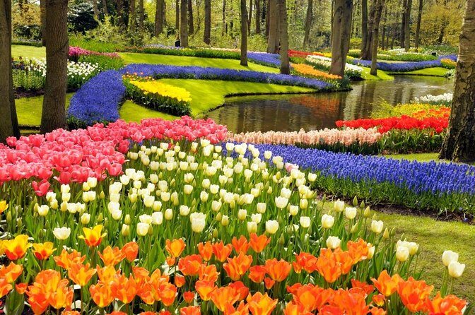 Keukenhof & FlowerFarm Tour From Amsterdam Skip-The-Line tickets - Frequently Asked Questions