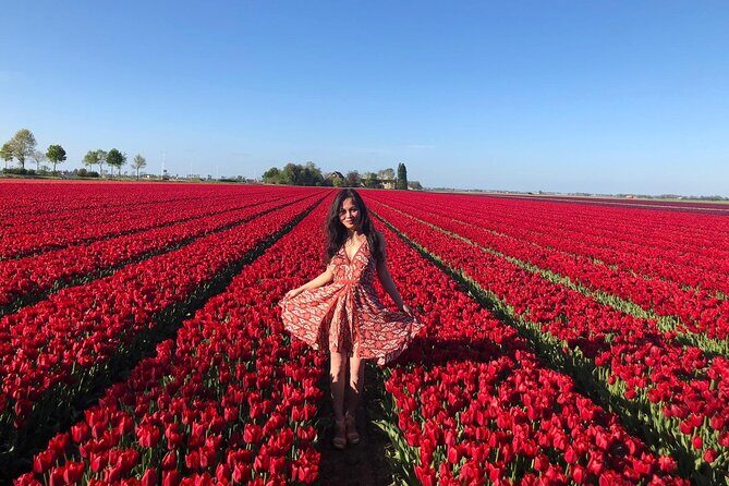 Keukenhof Gardens and Delft Guided Tour from Amsterdam - Who Should Consider This Tour?