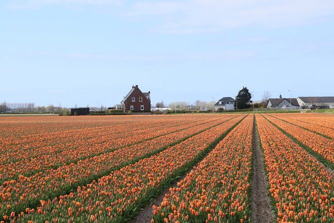 Keukenhof Gardens and Delft Guided Tour from Amsterdam - Who Would Love This Tour?