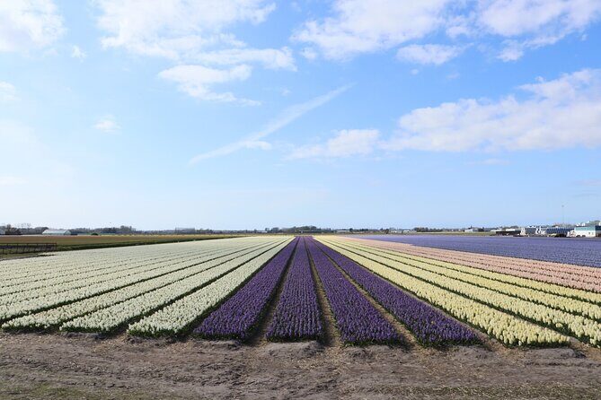 Keukenhof Gardens and Delft Guided Tour from Amsterdam - Frequently Asked Questions