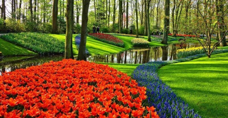 Keukenhof Gardens and Tulip Experience Tour from Amsterdam - Key Points