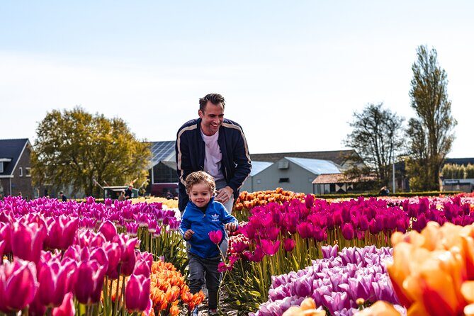 Keukenhof Gardens and Tulips Private Tour from Amsterdam - The Experience in Detail