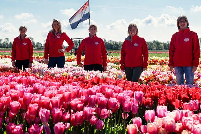 Keukenhof Gardens and Tulips Private Tour from Amsterdam - The Sum Up