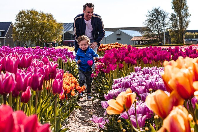 Keukenhof Gardens & Tulip Experience Tour from Amsterdam - In-Depth Review: What to Expect on This Tulip-Filled Day