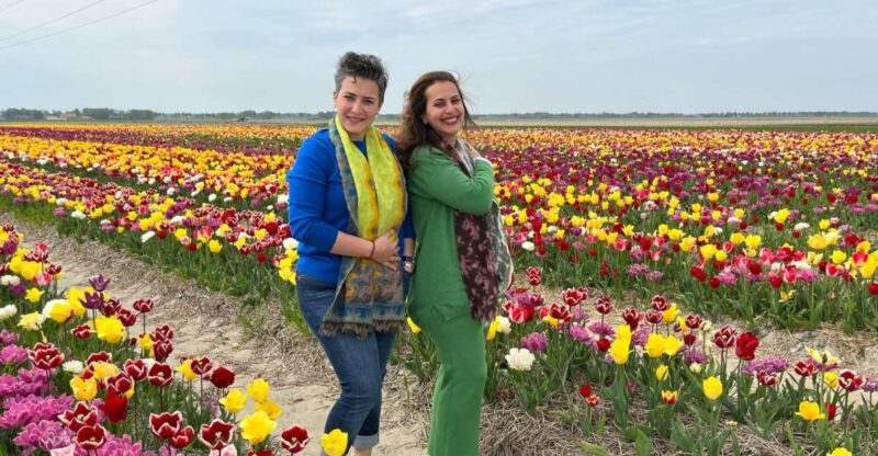 Keukenhof, Tulip Farm, Flower Fields & Windmills - A Deep Dive into the Experience