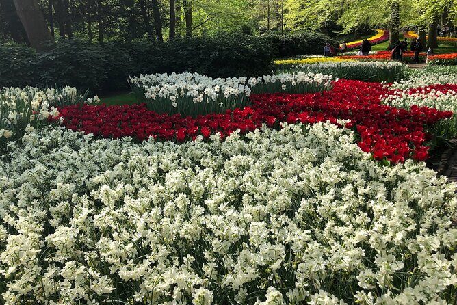 Keukenhof, Tulip Farm, Flower Fields & Zaanse Schans Windmills - Why This Tour Works Well