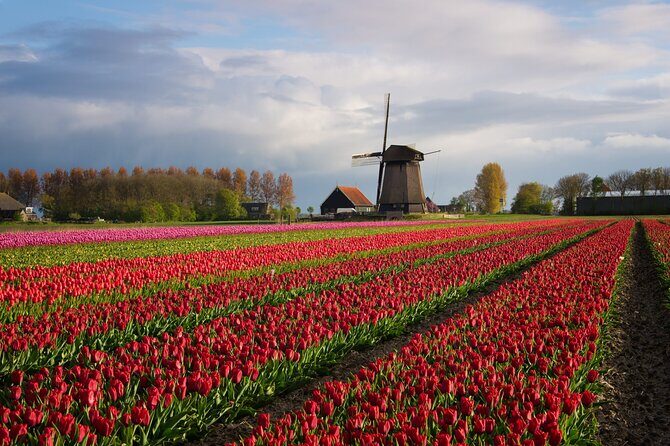 Keukenhof Tulip Garden Tour - Why Choose This Tour Over Others?