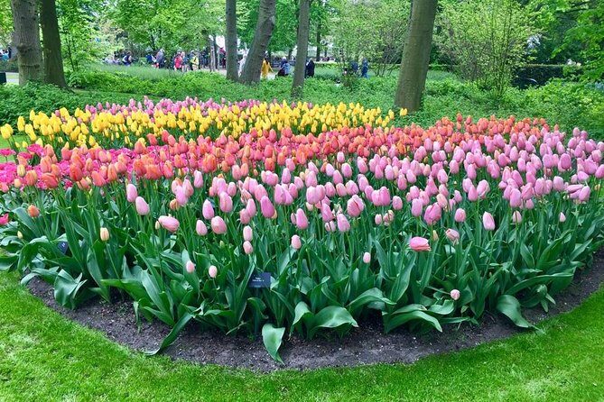 Keukenhof Tulips and Zaanse Schans Windmills Private Day Tour - Exploring the Itinerary in Detail