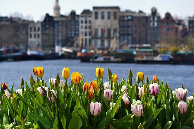 Keukenhof & Zaanse Schans (Best of Holland with windmill) Guided Tour with local - Authenticity and Value: What You Should Know