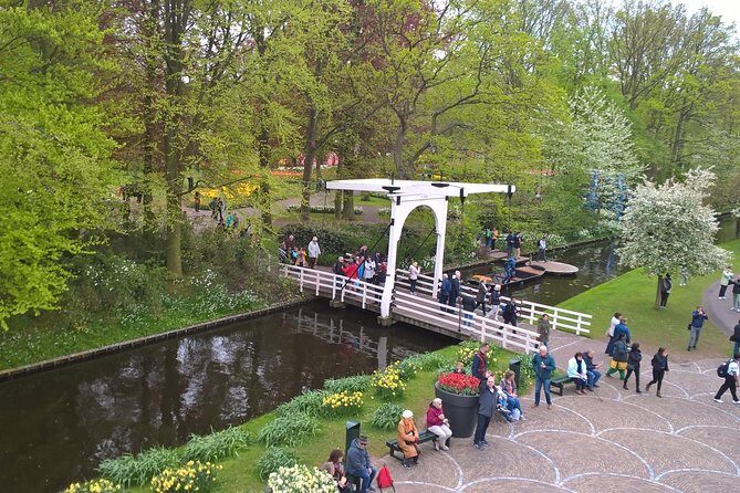 Keukenhof's Tulips and Windmills Small-Group Tour from Amsterdam - Key Points