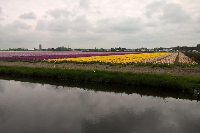 Keukenhof's Tulips and Windmills Small-Group Tour from Amsterdam - Final Thoughts