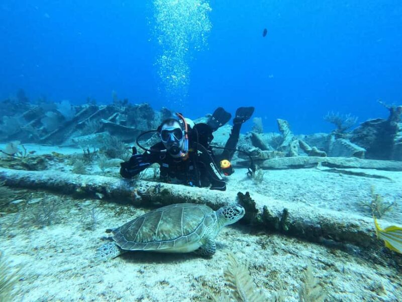 Key Largo: 2-Tank Shallow Reef Dive with Guide & Photos - Key Points
