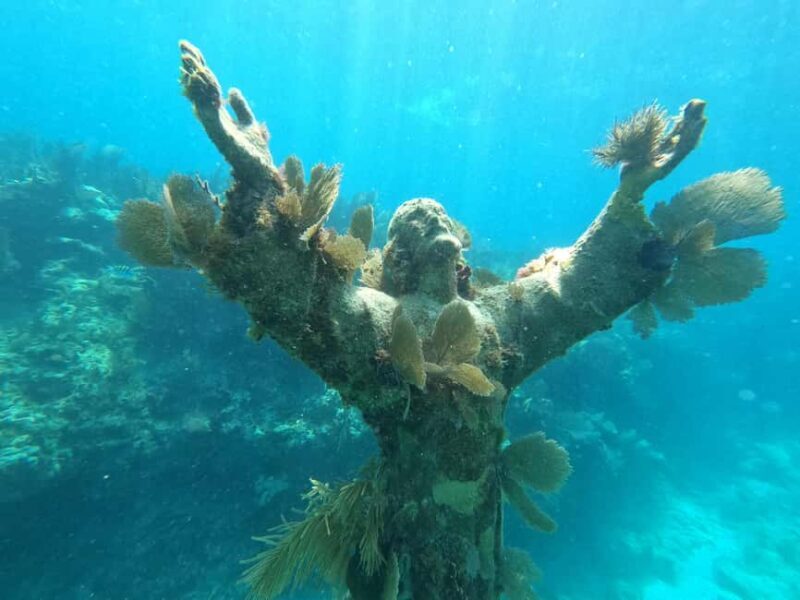 Key Largo: 2-Tank Shallow Reef Dive with Guide & Photos - An In-Depth Look at the Tour