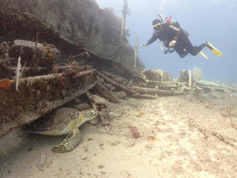 Key Largo: 2-Tank Shallow Reef Dive with Guide & Photos - Frequently Asked Questions