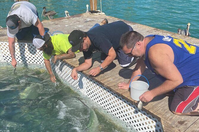 Key Largo and Islamorada Private Tour by Cabriolet Bus - Key Points