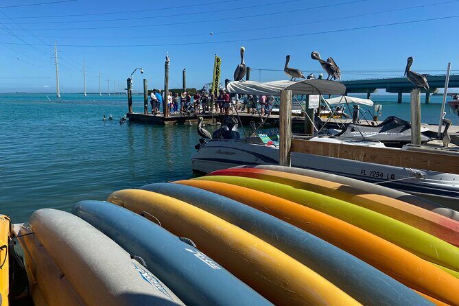 Key Largo and Islamorada Private Tour by Cabriolet Bus - Why This Tour Offers Real Value