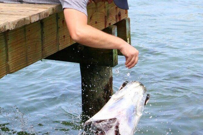 Key Largo Coral Reef Park and Sunset Celebration - Exploring the Itinerary in Detail