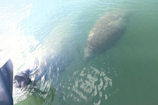 Key Largo Day Tour - Key Points