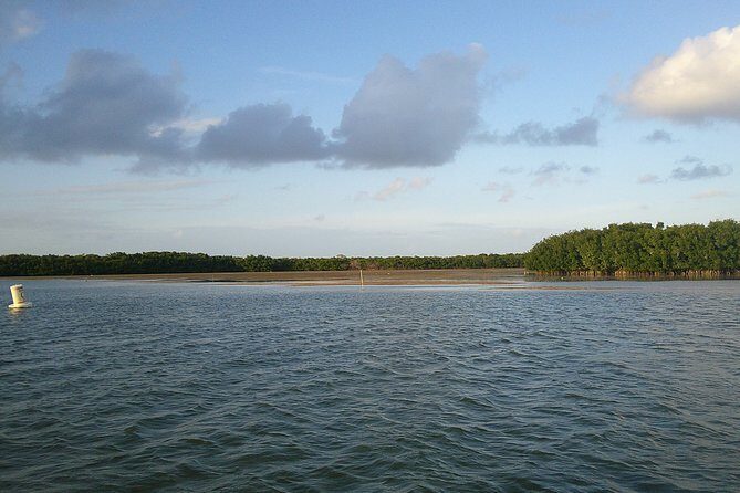 Key Largo Mangrove Private Eco-Tours - Frequently Asked Questions