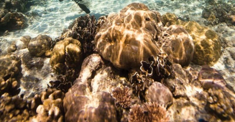 Key Largo: Scuba Refresher Course - Key Points