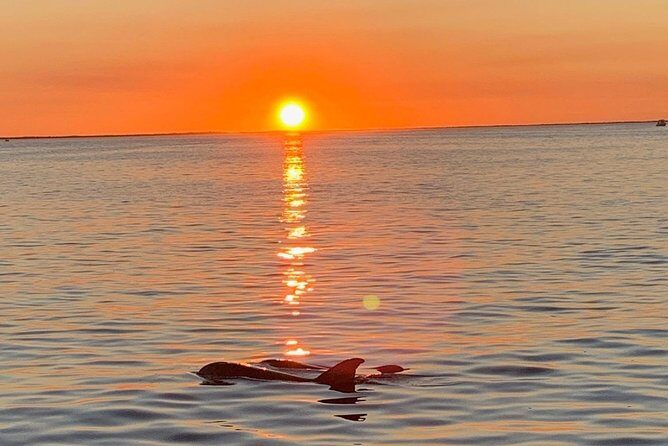 Key Largo Sunset Cruise - Key Points