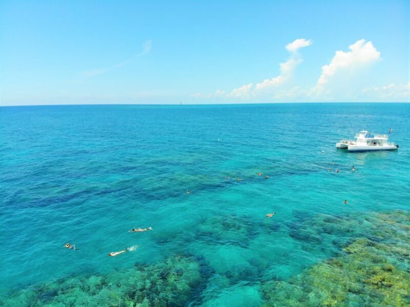 Key West: 2 Reef Snorkel With Sunset Cruise, Includes Drinks - Key West: 2 Reef Snorkel With Sunset Cruise, Includes Drinks