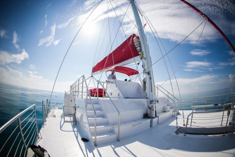 Key West: 3-Hour Afternoon Reef Snorkel with Drinks - Key Points